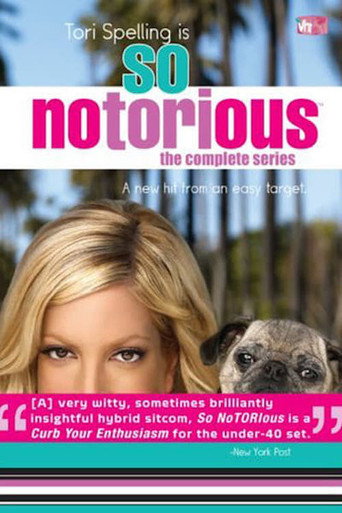 Poster for So NoTORIous
