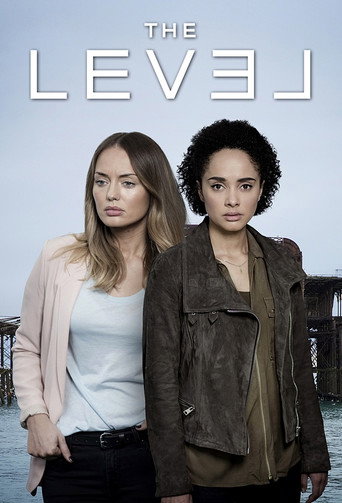 Poster for The Level