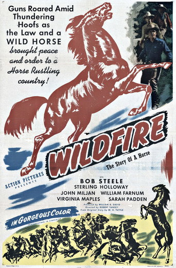 Poster for Wildfire