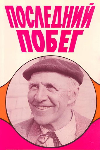 Poster for The Last Escape