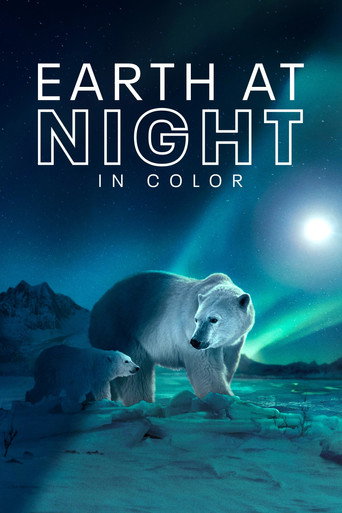 Poster for Earth at Night in Colour