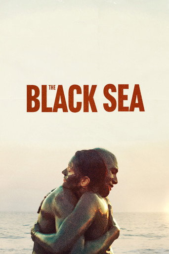 Poster for The Black Sea
