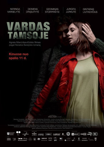 Poster for Name in the Dark