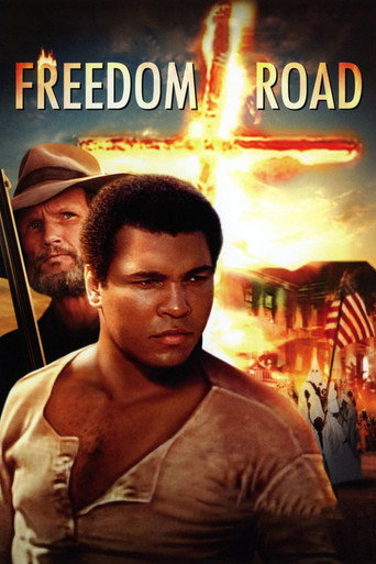 Poster for Freedom Road