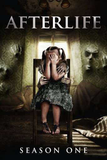 The poster for Series 1