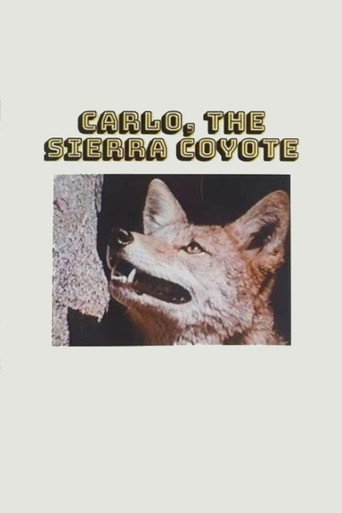 Poster for Carlo the Sierra Coyote