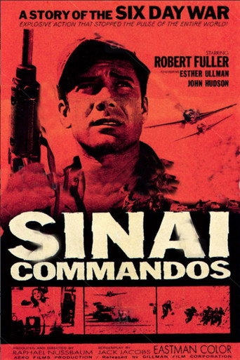 Poster for Sinai Commados