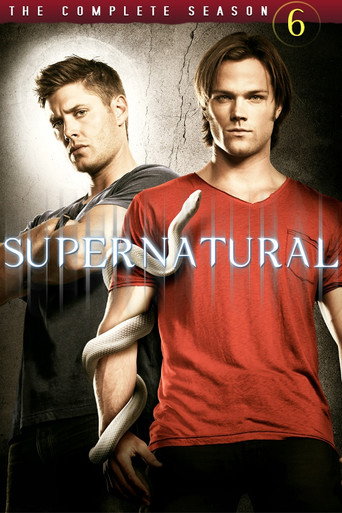 The poster for Season 6