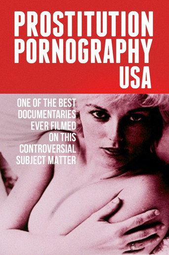 Poster for Prostitution Pornography USA