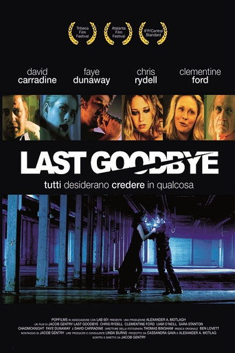 Poster for Last Goodbye