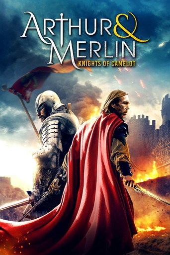 Poster for Arthur & Merlin: Knights of Camelot