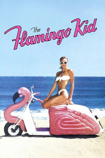 Poster for The Flamingo Kid