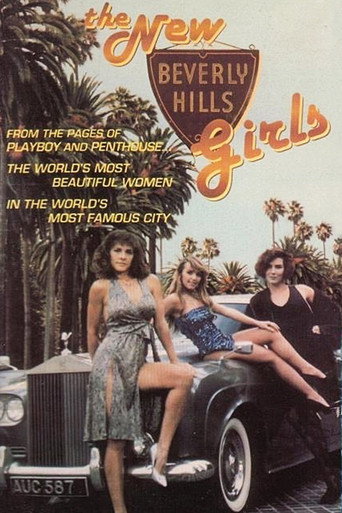 Poster for The New Beverly Hills Girls
