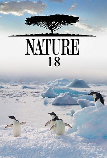 The poster for Season 18