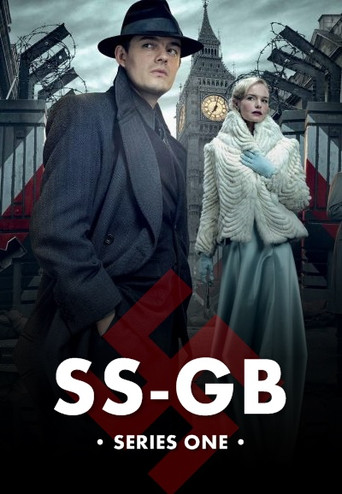 The poster for Miniseries