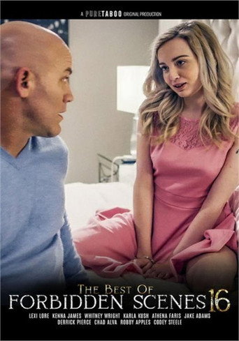 Poster for The Best of Forbidden Scenes 16