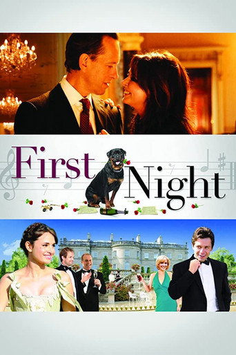 Poster for First Night