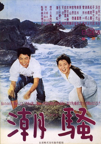 Poster for The Sound of Waves