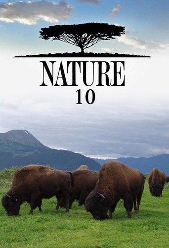 The poster for Season 10