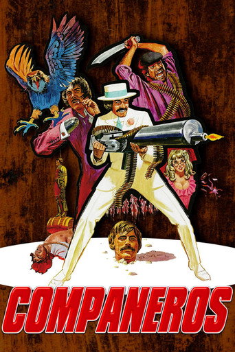 Poster for Compañeros