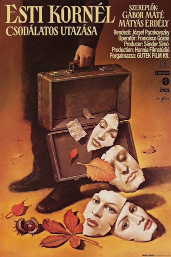 Poster for The Wondrous Voyage of Kornel Esti