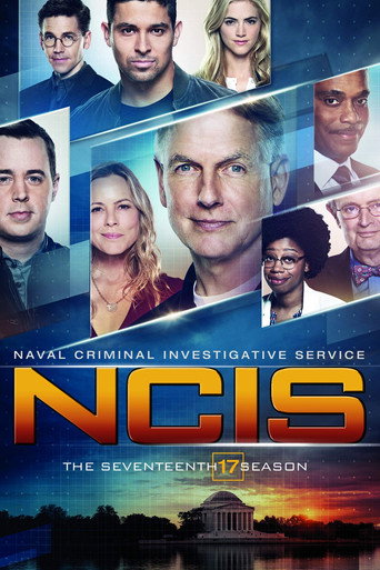 The poster for Season 17