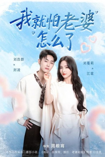 Poster for 我就怕老婆怎么了