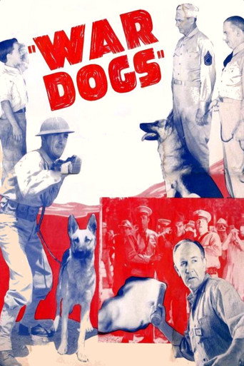 Poster for War Dogs