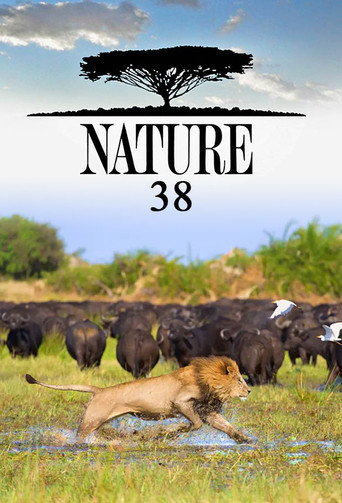 The poster for Season 38