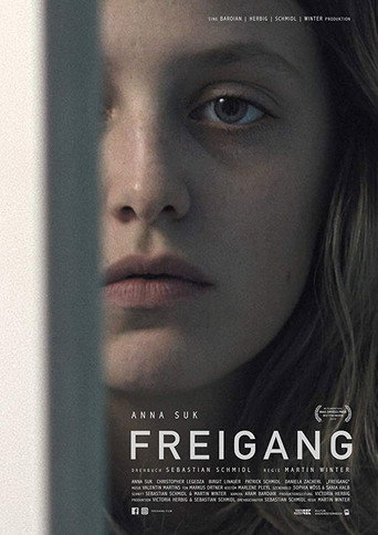 Poster for Freigang