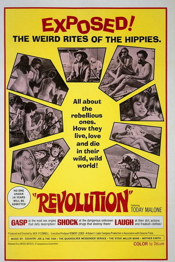 Poster for Revolution