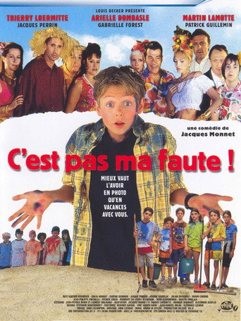 Poster for I Didn't Do It!