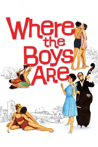 Poster for Where the Boys Are