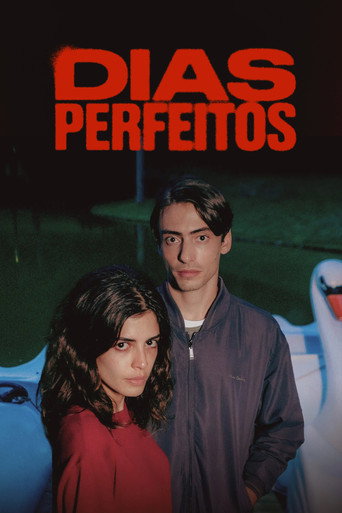 Poster for Perfect Days
