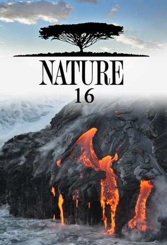 The poster for Season 16