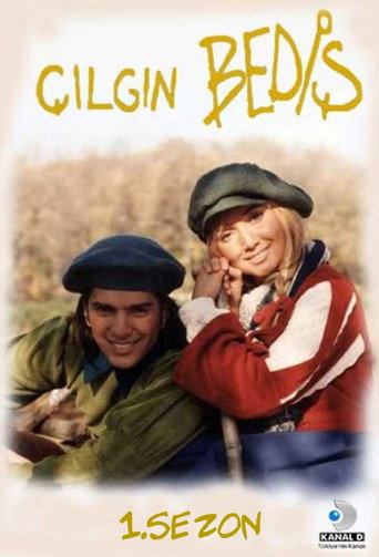 The poster for Season 1
