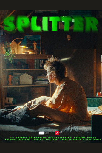 Poster for Splitter