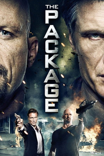 Poster for The Package