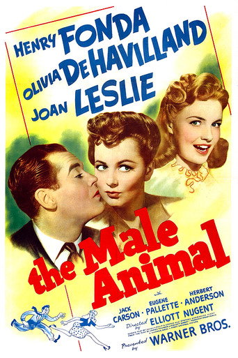 Poster for The Male Animal