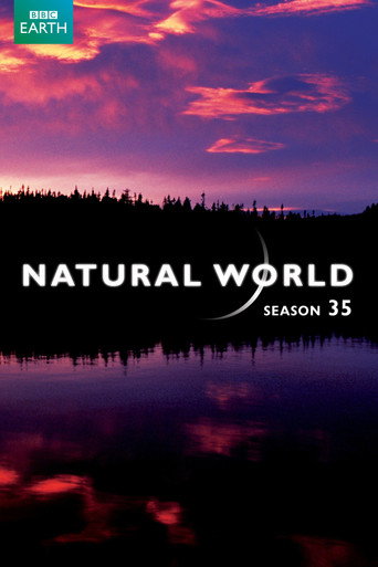 The poster for Season 35