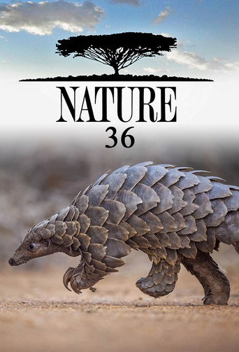 The poster for Season 36