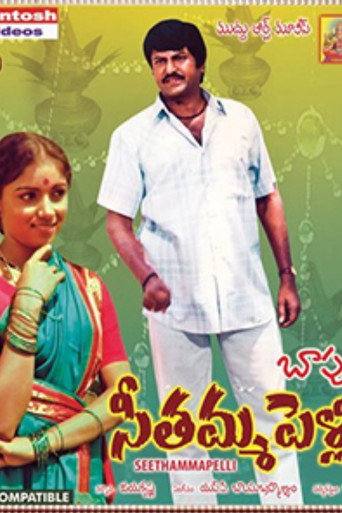 Poster for Seethamma Pelli