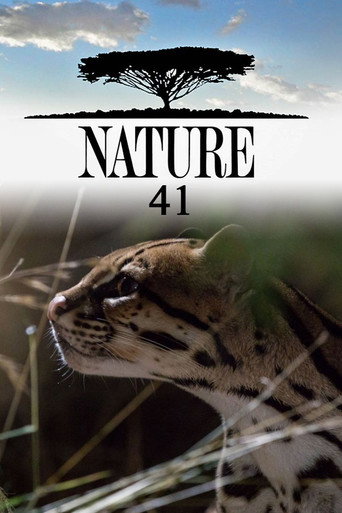 The poster for Season 41
