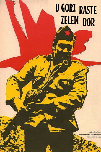 Poster for The Pine Tree in the Mountain