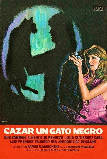 Poster for Curse of the Black Cat