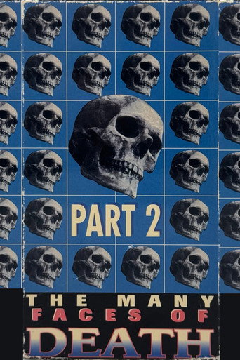 Poster for The Many Faces of Death, Part 2