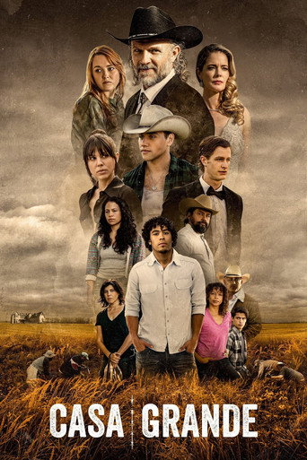 The poster for Miniseries