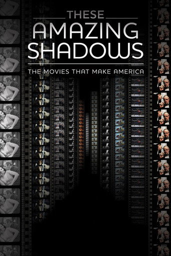 Poster for These Amazing Shadows
