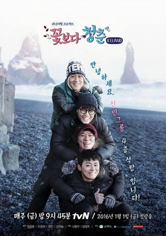 The poster for Iceland