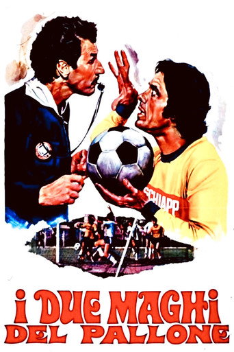 Poster for The Two Wizards of the Ball
